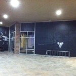 Bungie 3M Window Graphics