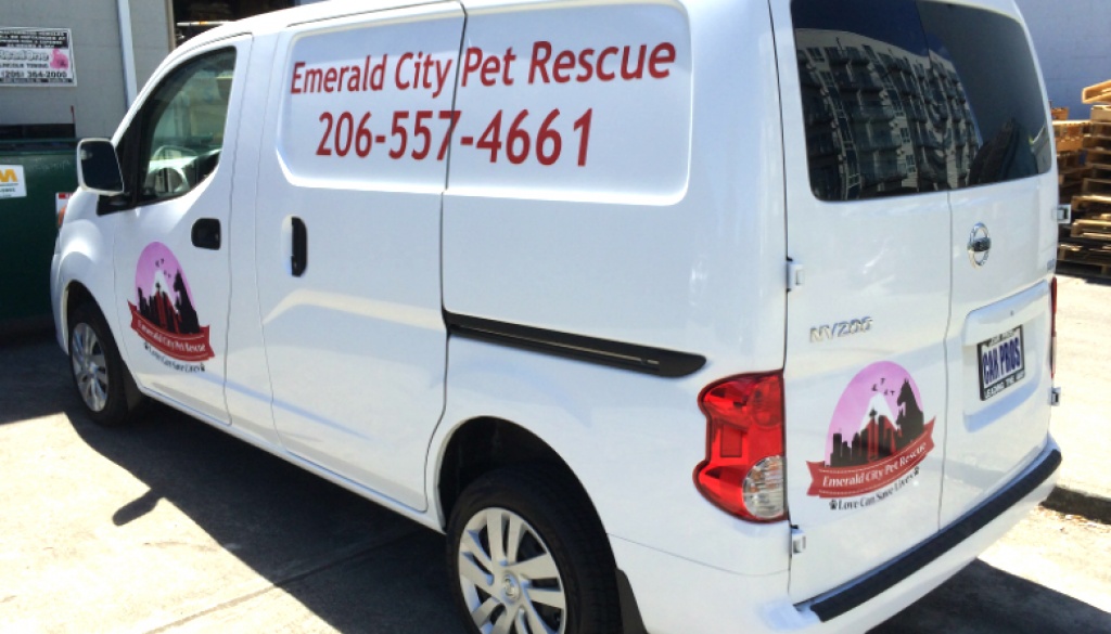 Saving Lives in Seattle Spotlight on Emerald City Pet Rescue Studio